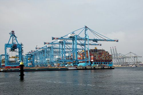containerkranen op Maasvlakte 2 van Tilly Meijer