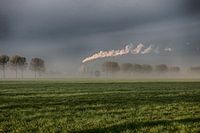 Fumée dans le brouillard