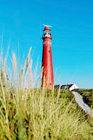 Le phare rouge de Schiermonnikoog sous le soleil d'automne