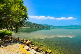 Ultimate reflection of colours by Fred van Schaagen