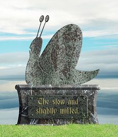 Standbeeld “The slow and slightly miffed”