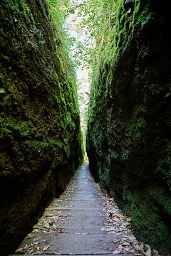 Sentier de randonnée à travers les gorges du Dragon près d'Eisenach sur Heiko Kueverling