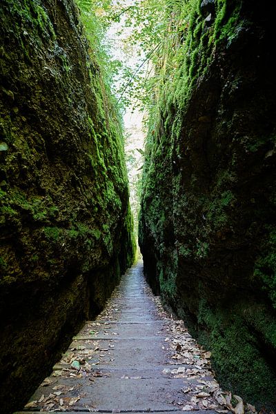 Sentier de randonnée à travers les gorges du Dragon près d'Eisenach par Heiko Kueverling