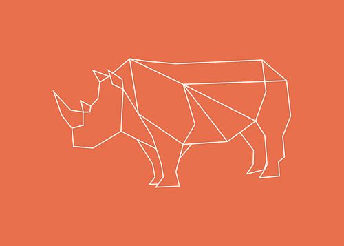 Rhinoceros - Graphic animals