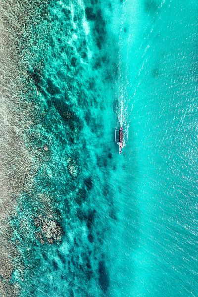 Aerial Summer - Turquoise Coral by Philippe HUGONNARD