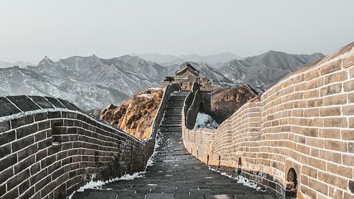 Peking