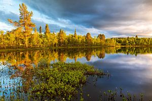 Lac suédois à l'heure dorée sur Ate de Vries