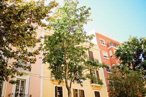 Bunte Mauern auf Ibiza