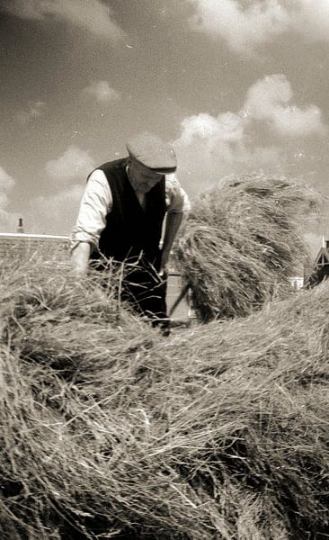 Hay time by It Alders Erf