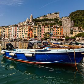 Colorful Portovenere sur Remko Bochem