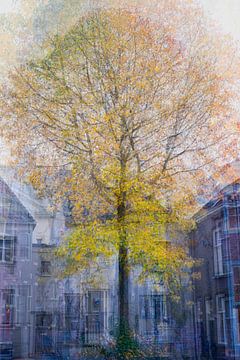 Herfstkleuren, als ArtFrame of op acryl of metal van Josine Claasen