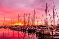 Zeilmasten in het ochendlicht - Juelsminde haven van Tony Buijse thumbnail