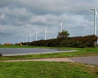 Wind turbines gebouwd op landbouw in Petten (Noord-Holland)