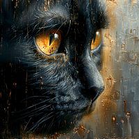 Zwarte kat met gouden ogen