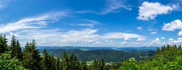 Germany, Beautiful black forest viewpoint on mountain top by adventure-photos