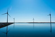 Windmolens met een blauwe achtergrond van Jeroen Berendse thumbnail