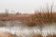 Windmolens aan de Kinderdijk in de mist van Brian Morgan thumbnail