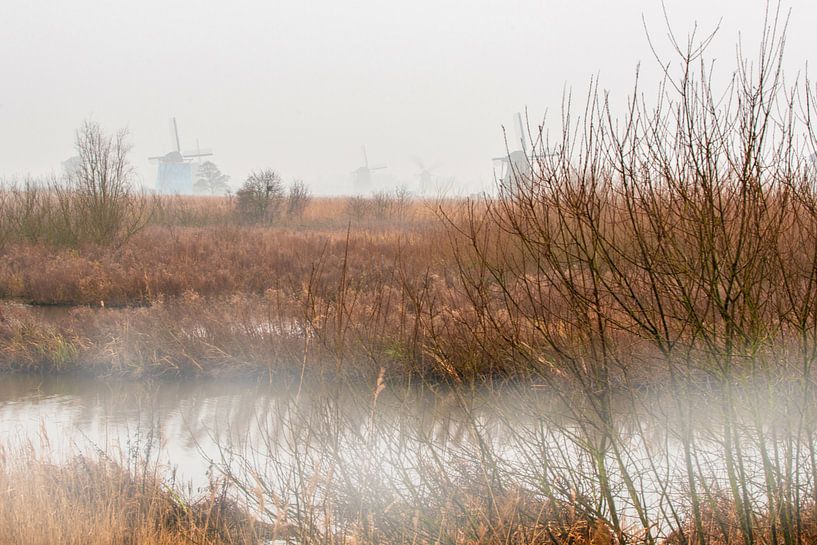 Windmolens aan de Kinderdijk in de mist von Brian Morgan