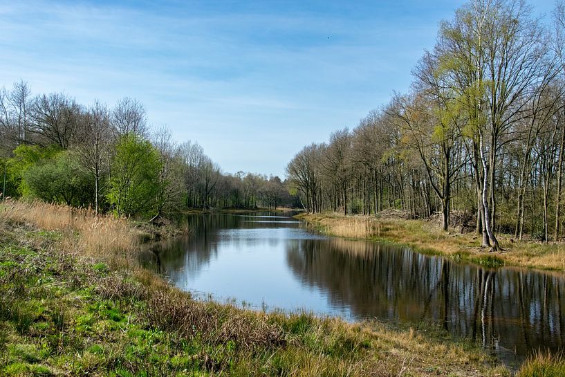 Beek Langeven near Heijen by Kristof Leffelaer
