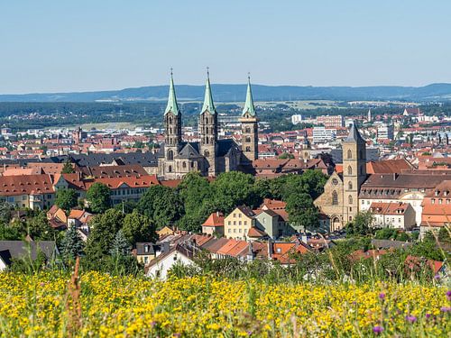 skyline van Bamberg in Beieren