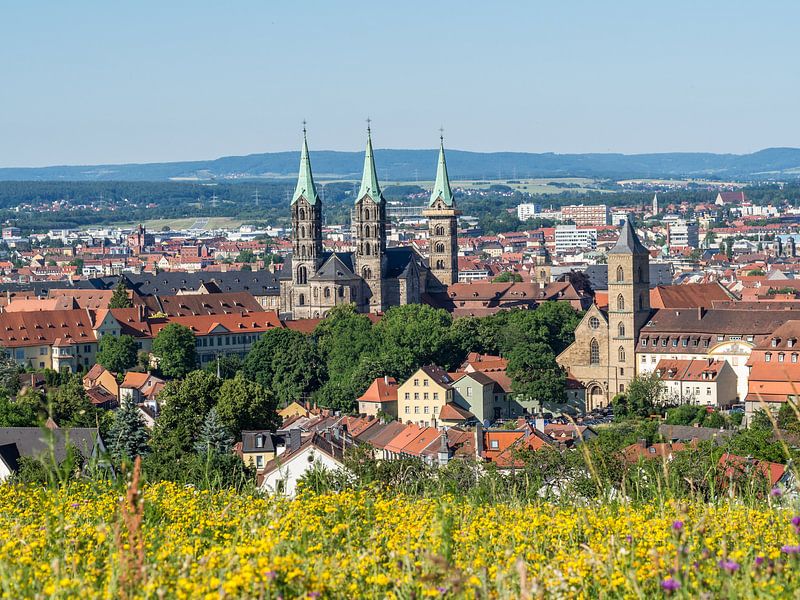 Skyline von Bamberg in Bayern von Animaflora PicsStock