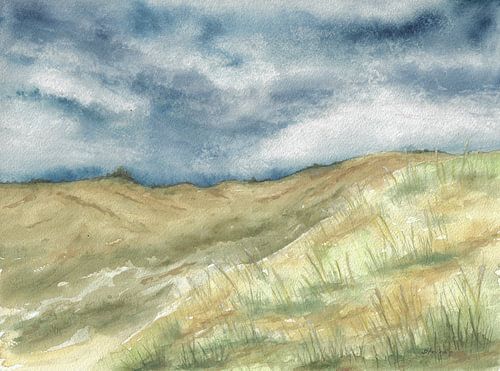 Dünenlandschaft in Dänemark