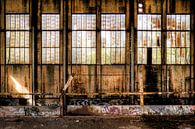 Wall in an abandoned power plant by Eus Driessen thumbnail
