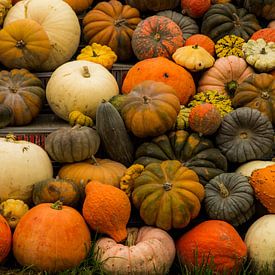 Ròbert Vroegindweij Profilfoto