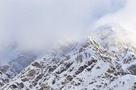 The Mountain Collection | Mist in the mountains van Lot Wildiers Photography thumbnail