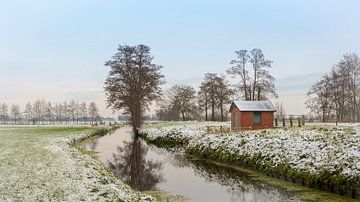 De Groeve Nienoordsche polder in de sneeuw