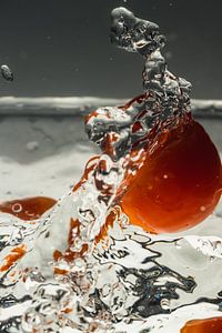 Tomaten fallen ins Wasser