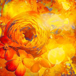 Sunny Spring Flowers and the Journey of the Butterfly by Helga Blanke