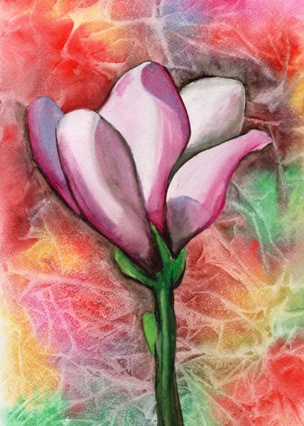 Magnolie in Aquarell von Greta Lipman