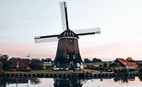 Molen