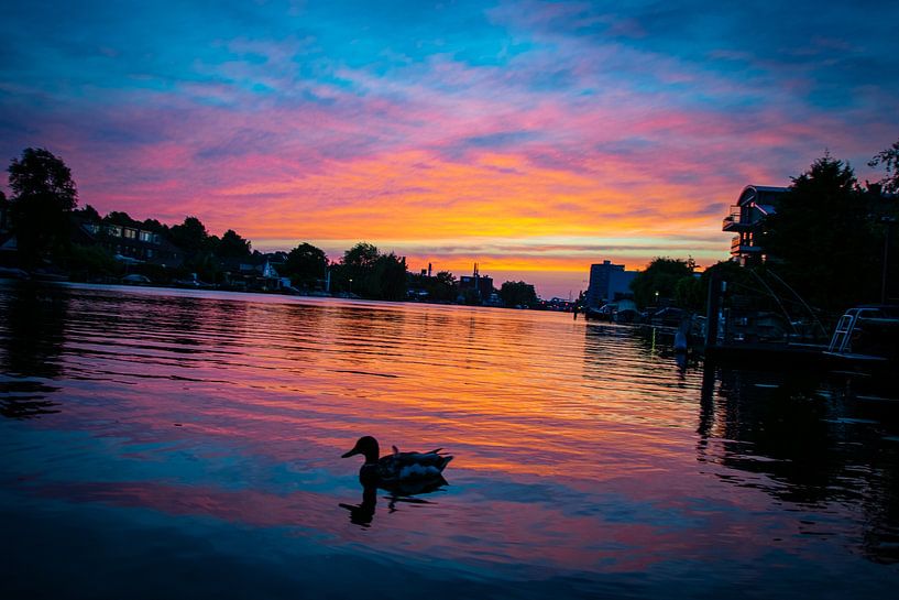Sunset on the Rhine, in Leiden by Denise Vlieland
