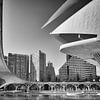 Détail du Palau de les Arts Reina Sofia - Valence sur Paysages urbains - Rick Van der Poorten Photography