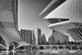 Detail of the Palau de les Arts Reina Sofia - Valencia by Paysages urbains - Rick Van der Poorten Photography