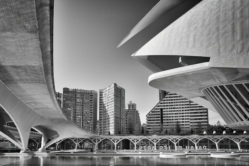 Détail du Palau de les Arts Reina Sofia - Valence par Paysages urbains - Rick Van der Poorten Photography