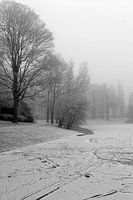 Noorderplantsoen in de Winter 14
