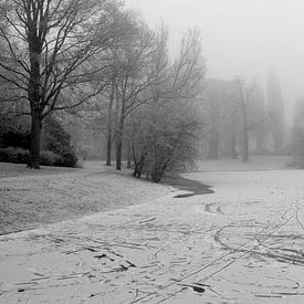 Noorderplantsoen im Winter 14 von Ronald Hulsebos