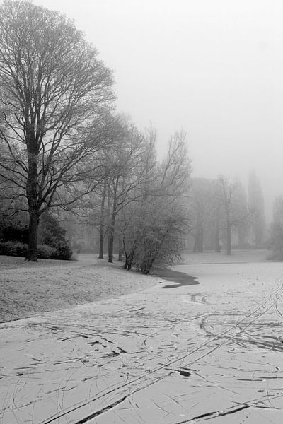 Noorderplantsoen im Winter 14 von Ronald Hulsebos