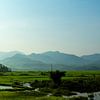 Rijstvelden Vietnam van Gijs de Kruijf