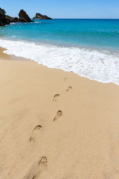 Voetstappen voetafdrukken in zand op strand die naar zee lopen van Ben Schonewille