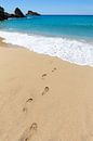 Voetstappen voetafdrukken in zand op strand die naar zee lopen van Ben Schonewille thumbnail