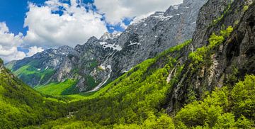 Logar-Tal in den Kamniker Savinja-Alpen in Slowenien im Frühling