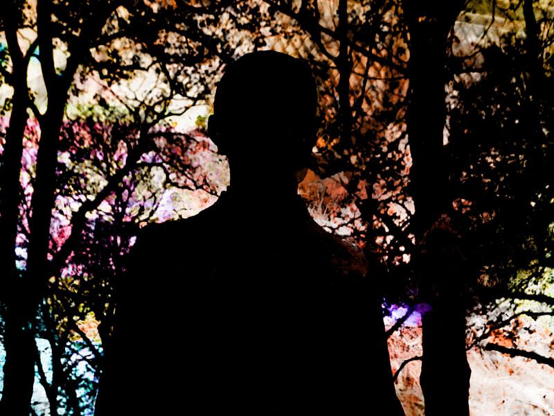 Persoon in het bos. van Richard Brinkman