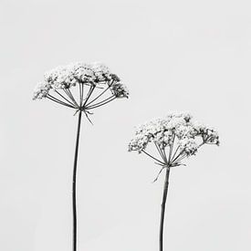 Still life of two plants in black and white by Studio Allee