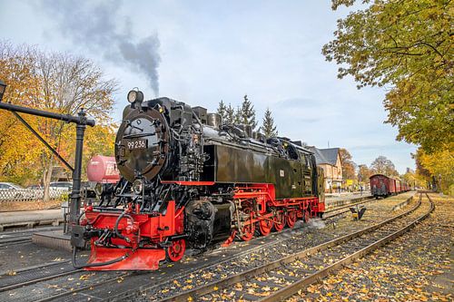The Brockenbahn at Drei Annen Hohne station