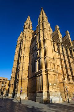 Beroemde kathedraal La Seu van Palma de Majorca, Spanje van Alex Winter