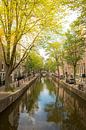 Amsterdam Oudezijds Achterburgwal Kanal im Sommer von Sjoerd van der Wal Fotografie Miniaturansicht